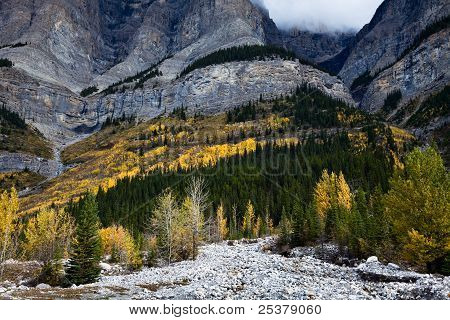 Rocky Mountain