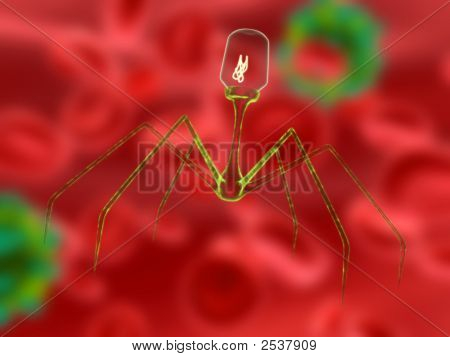 3D Bakteriophage