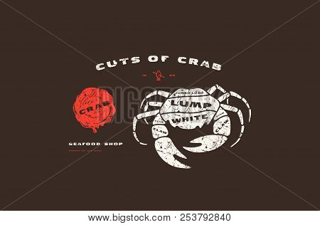 Stock Vector Crab Cuts Diagram In Flat Style. Design With Rough Texture. Color Print On Black Backgr