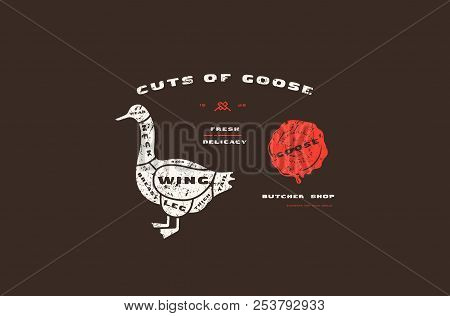 Stock Vector Goose Cuts Diagram In Flat Style. Design With Rough Texture. Color Print On Black Backg