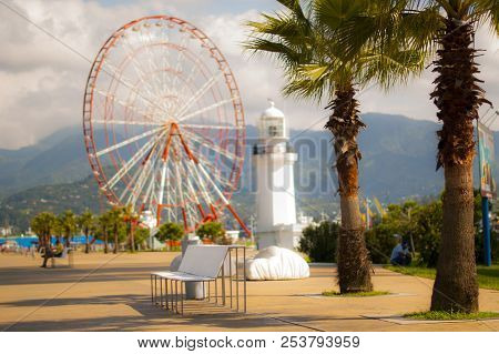 Sight And Palm Trees In Batumi, Embankment