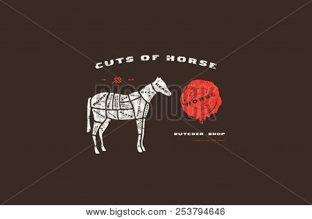 Stock Vector Horse Cuts Diagram In Flat Style. Design With Rough Texture. Color Print On Black Backg
