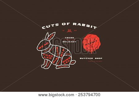 Stock Vector Rabbit Cuts Diagram In Thin Line Style. Design With Rough Texture. Color Print On Black