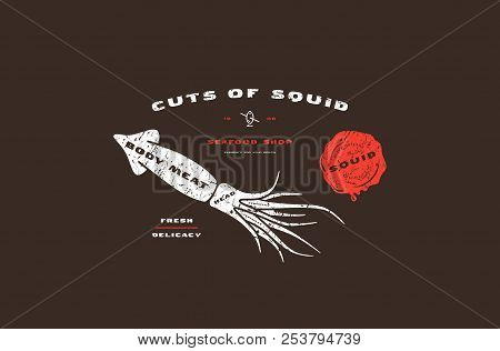 Stock Vector Squid Cuts Diagram In Flat Style. Design With Rough Texture. Color Print On Black Backg
