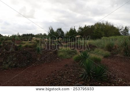 Australian Scenery In The Village Of Villars-les-dombes, France