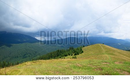 Low Grey Clouds In The Mountain Valley, Green Spruce Forest, Black Mountains