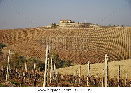 hilly region during the autumn season