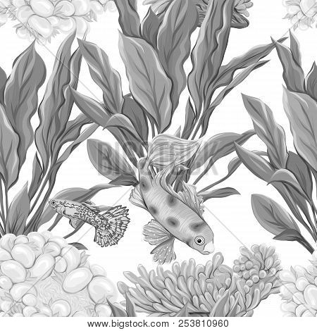 Sea World Seamless Pattern, Background With Fish, Corals And Shells On White Background. Stock Vecto