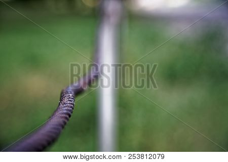 Thick Steel Rope Close Up. Bridge Fence Element. Detailed View. The Surface Of The Steel Cable Is Co