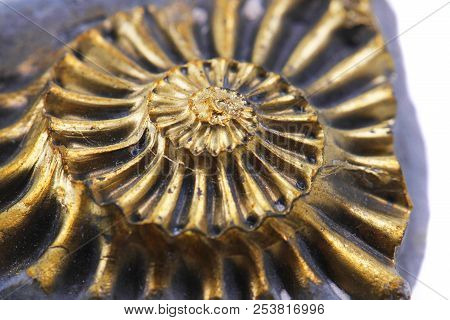 Orpiment Mineral Isolated On The White Background