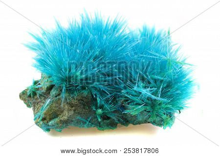 Copper (ii) Chloride Isolated