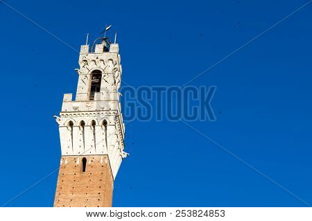 The Torre Del Mangia (tower Of The Eater) (1338-1348) In Downtown Siena, Central Italy