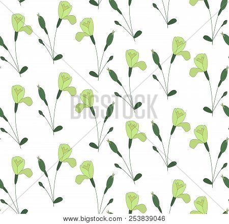 Flowers, Bud, Leaves, Bud, Blossom, Floral, Plant