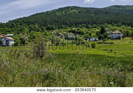 Springtime Green Forest, Glade, Reed Or Rush And House On A Beauty  Lake In Residential District Mar