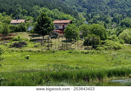 Springtime Green Forest, Glade, Reed Or Rush And House On A Beauty  Lake In Residential District Mar