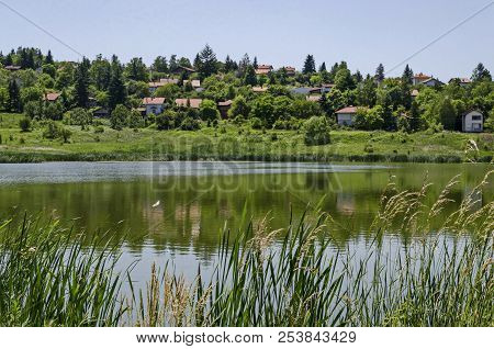 Springtime Green Forest, Glade, Reed Or Rush And House On A Beauty  Lake In Residential District Mar