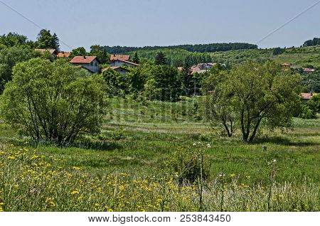 Springtime Green Forest, Glade, Reed Or Rush And House On A Beauty  Lake In Residential District Mar