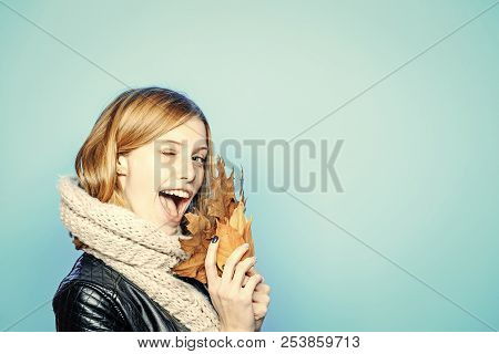 Season And Autumn Holiday. Happy Model With Stylish Hair In Scarf. Girl With Orange Leaves On Blue B