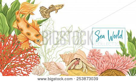 Sea Card With Gold Fish, Corals And Shells. Good For Greeting Card, Invitation. Template With Place 