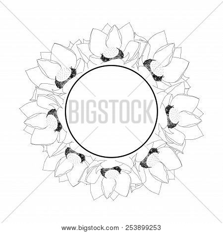 Indian Lotus Outline Banner Wreath. Nelumbo Nucifera,sacred Lotus, Bean Of India, Egyptian Bean. Nat