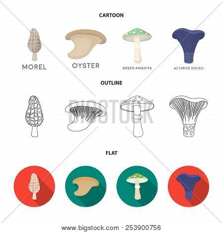 Morel, Oyster, Green Amanita, Actarius Indigo.mushroom Set Collection Icons In Cartoon, Outline, Fla