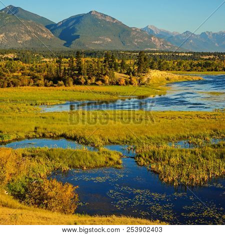 The Columbia Wetlands In Fall Or Autumn, Near Invermere, British Columbia, Canada