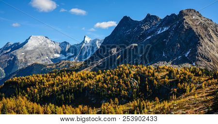 Jumbo Pass, British Columbia, Canada In Fall With Golden Larch. Purcell Mountain Landscape.