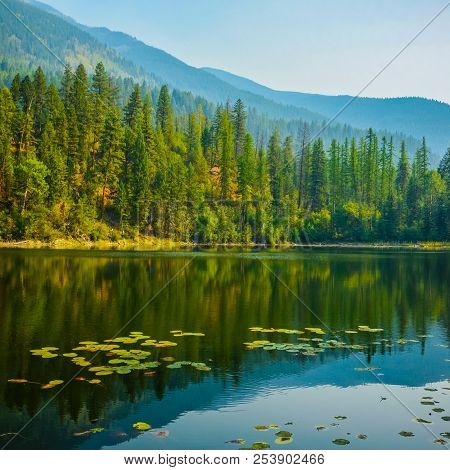 Reflection On Canuck Lake In Premier Lake Provincial Park, British Columbia, Canada