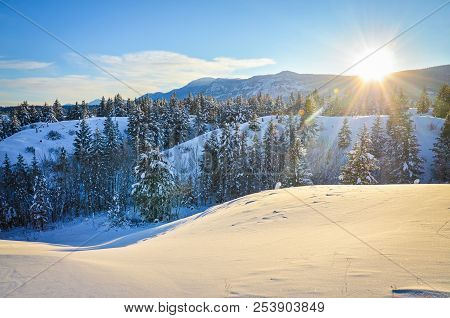 New Snow In The Foothills Of Fairmont Hot Springs, British Columbia. Purcell Mountains At Sunset