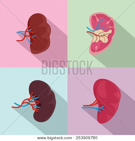 Spleen Milt Anatomy Icons Set. Flat Illustration Of 4 Spleen Milt Anatomy Icons For Web