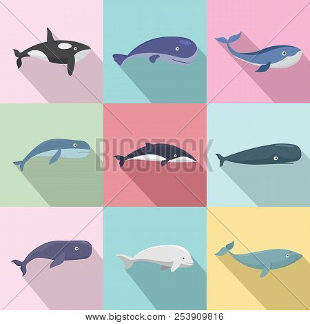 Whale Blue Tale Fish Icons Set. Flat Illustration Of 9 Whale Blue Tale Fish Icons For Web