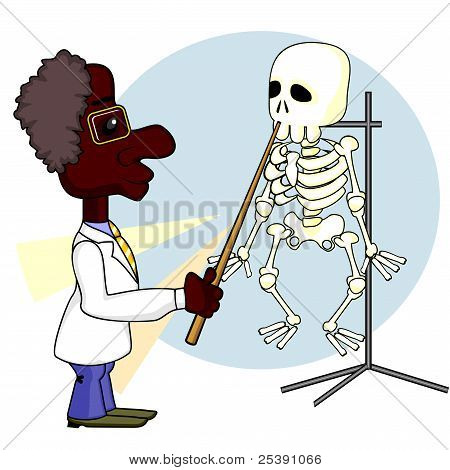 Wissenschaftler und Skelett