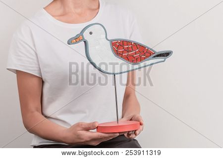 Mosaic Bird, Seagull. Decoration Handmade. And Hand