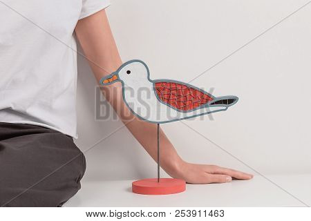Mosaic Bird, Seagull. Decoration Handmade. And Hand