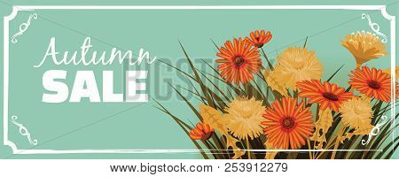 Sale, Autumn Flowers, Fall, Leaves, Banner, Flyers, Card, Autumn Colors, Template, Vector, Illustrat
