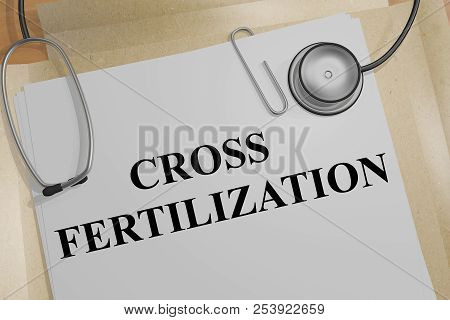 3d Illustration Of Cross Fertilization Title On A Medical Document