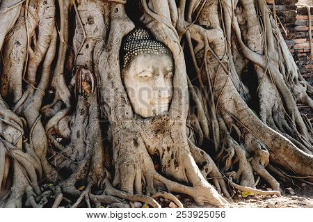 A Stone Head Of Buddha In Wat Prha Mahathat Temple