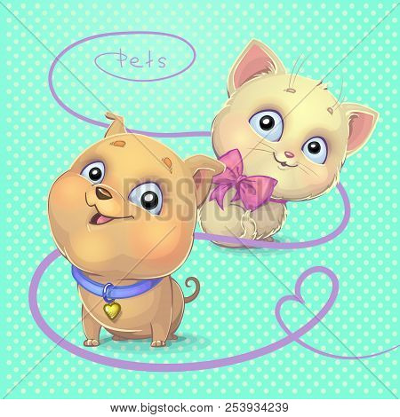 Lovely Friendly Little Pet Kitten And Puppy