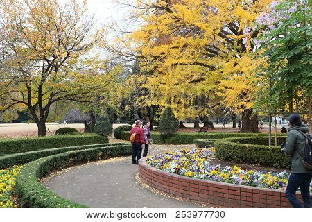 Tokyo, Japan - November 30, 2016: People Visit Shinjuku Gyoen In Tokyo, Japan. Shinjuku Gyoen Park I