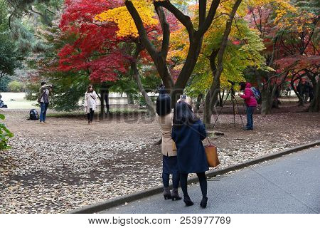 Tokyo, Japan - November 30, 2016: People Taking Autumn Photos With Mobile Phones In Shinjuku Gyoen I