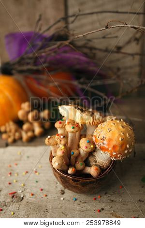 Woods, Fairy Tales & Mysterious Creature Concept - Poisonus Mushrooms In The Cup With Confectionary 