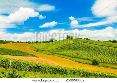 Beautiful Idyllic Green Countryside Landscape In Daruvar Region, Croatia, Vineyard On Hills