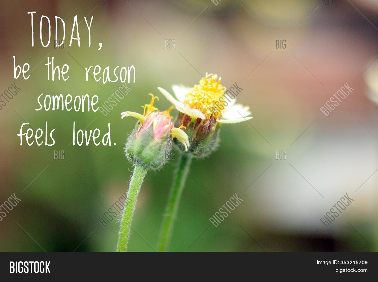 Get Wallpaper Inspirational Quote Image Photo Free Trial Bigstock For iPhone Free