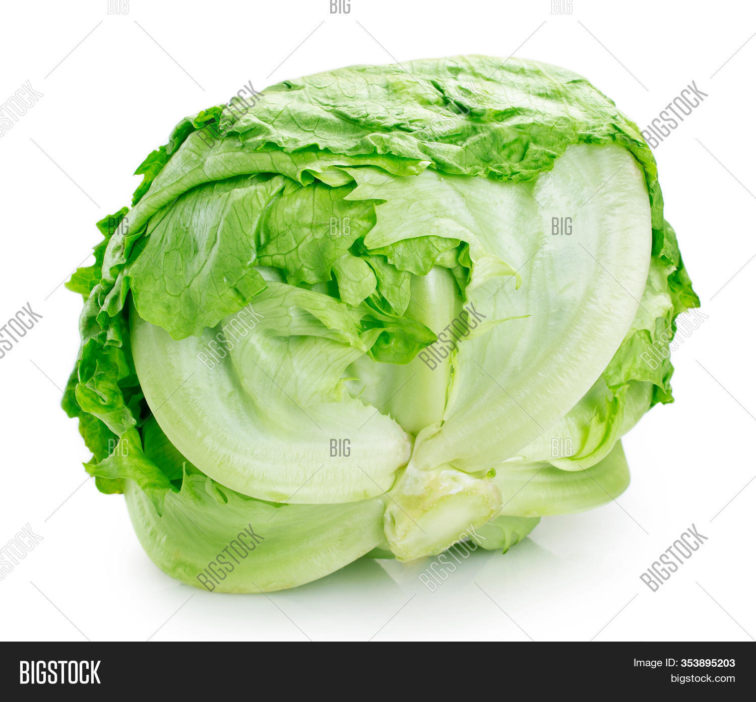 Fresh Iceberg Lettuce Image & Photo (Free Trial) Bigstock