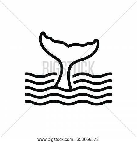 Black Line Icon For Tail Rump Tang Mermaid Sea Creature Aquatic Aquarium Water