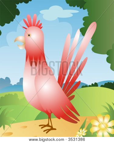 Gallo