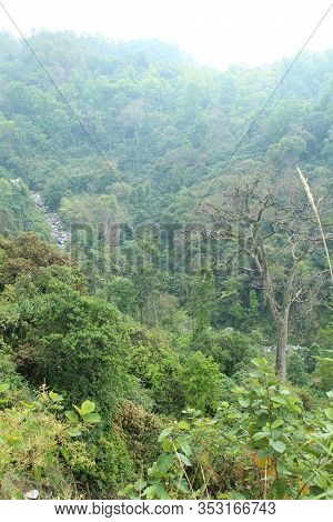 Downward View From Mountain Top, Filled With Greenness
