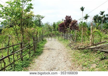 View Of A Garden Which Is Guarded By Fences