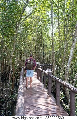Chumphon National Park, Thailand , Couple Walking On Wooden Deck In The Park With Trees And Mangrove