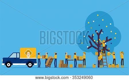 Procedures And Production Processes. Contribution Famer Concept, Product